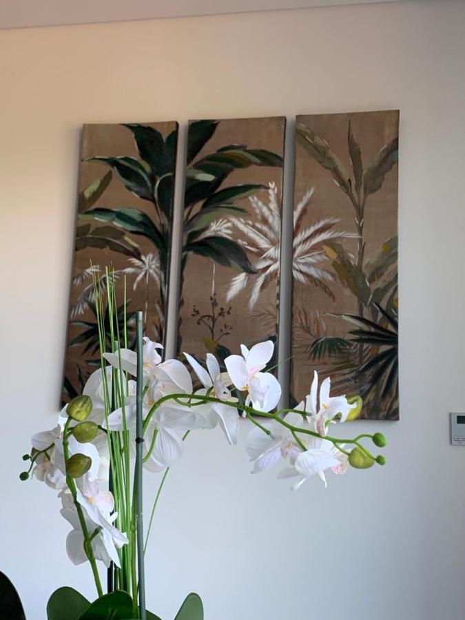 Dcm Lofts Leilighet Arcozelo  Eksteriør bilde